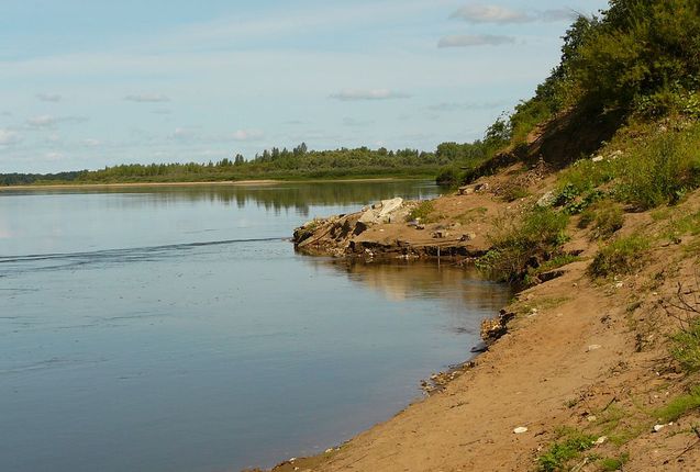 На выборах в Кировскую городскую Думу мы хотим отнять большинство у партии власти